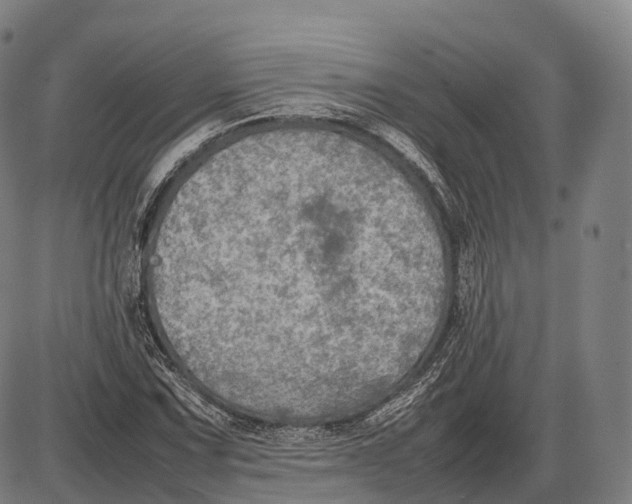 X0000085011067200703261149