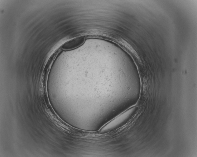 X0000085011068200703261149