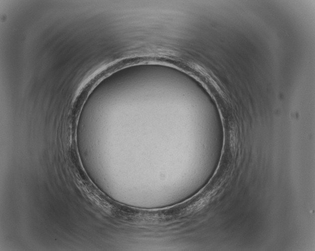 X0000085011069200703261149