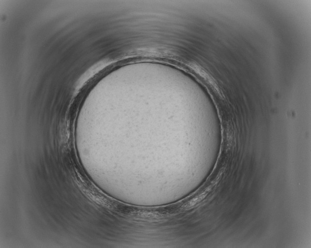 X0000085011070200703261149