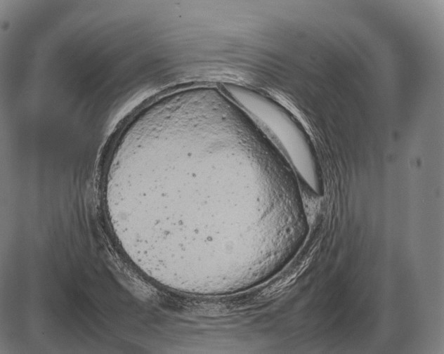 X0000085011071200703261149