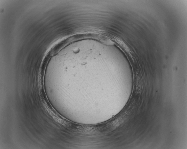 X0000085011072200703261149