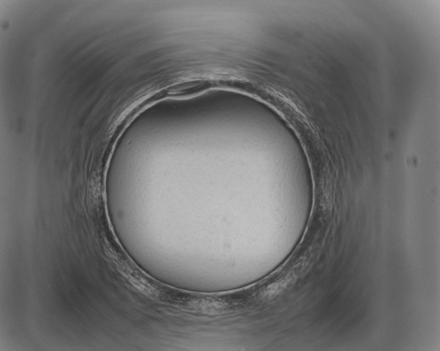 X0000085011073200703261149