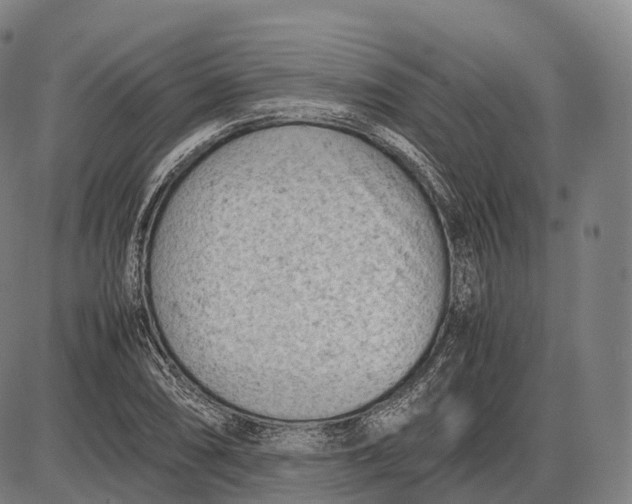 X0000085011074200703261149