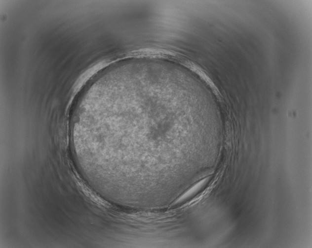 X0000085011075200703261149