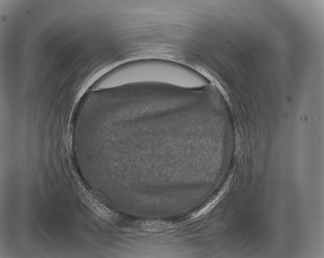 X0000085011077200703261149