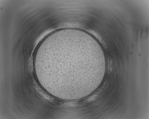 X0000085011078200703261149