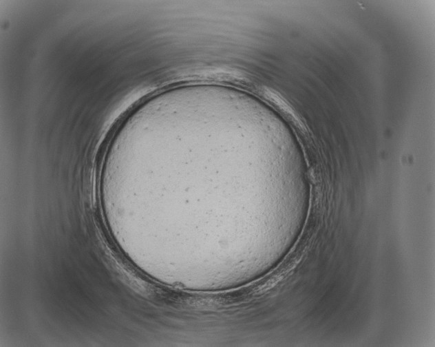 X0000085011079200703261148