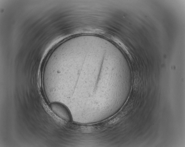 X0000085011080200703261148