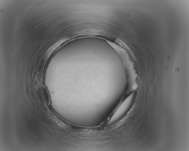 X0000085011081200703261148