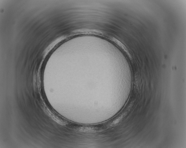 X0000085011082200703261148