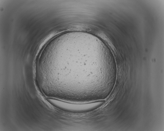 X0000085011083200703261148