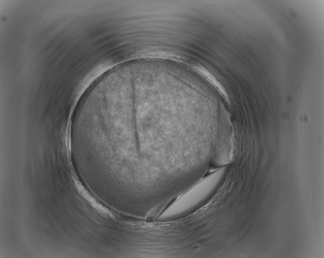 X0000085011084200703261148