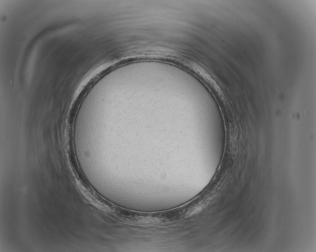 X0000085011085200703261148