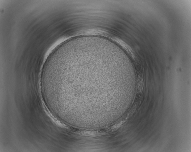 X0000085011086200703261148