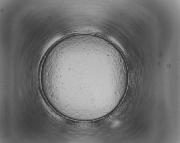 X0000085011087200703261148