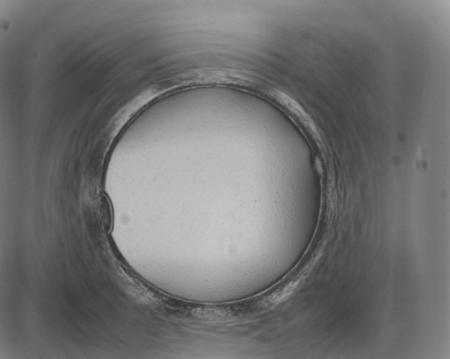 X0000085011089200703261148