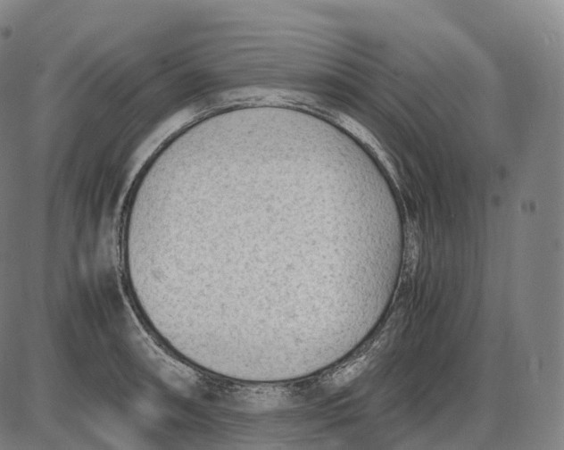 X0000085011090200703261148