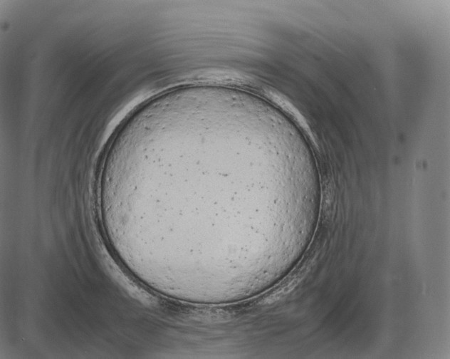 X0000085011091200703261148