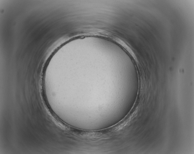 X0000085011093200703261148