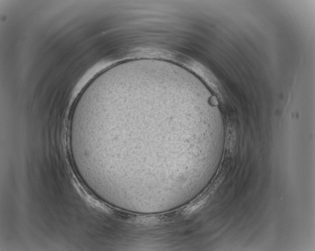 X0000085011094200703261148