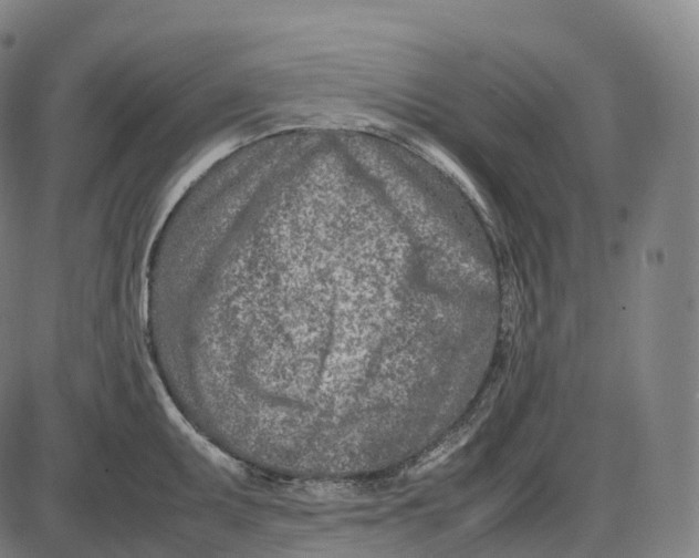 X0000085011095200703261148