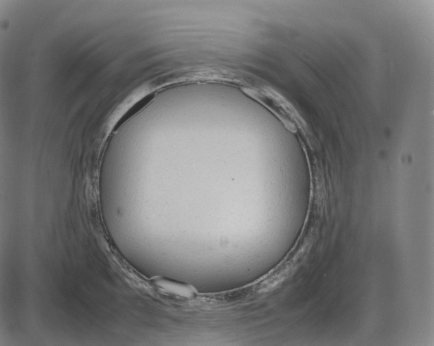 X0000085011097200703261148