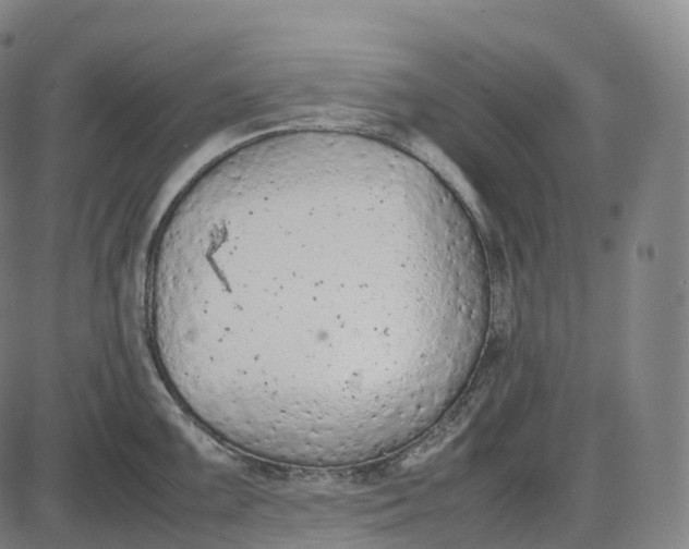 X0000085011099200703261148