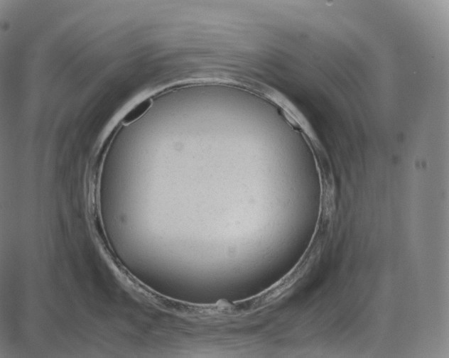 X0000085011101200703261148