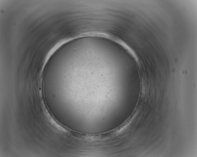 X0000085011102200703261148