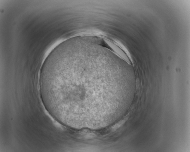 X0000085011103200703261148