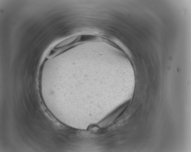 X0000085011104200703261148