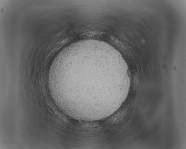 X0000085011105200703261147