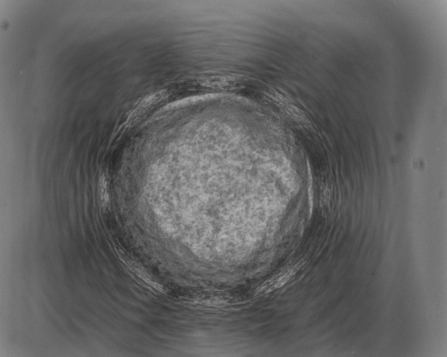 X0000085011106200703261147