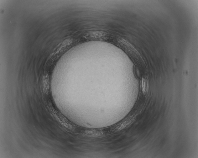 X0000085011107200703261147