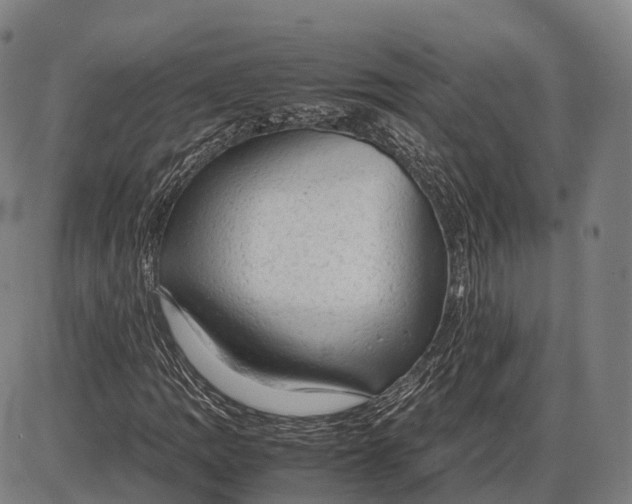 X0000085011109200703261147