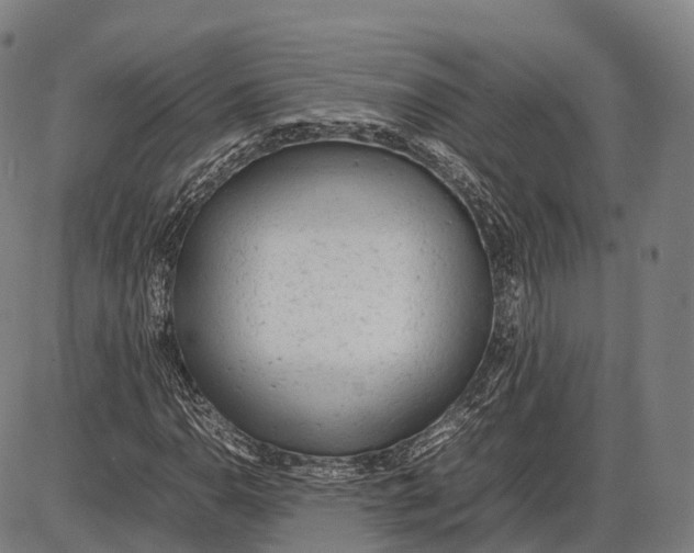 X0000085011110200703261147