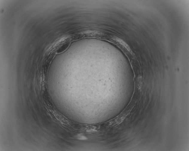 X0000085011111200703261147