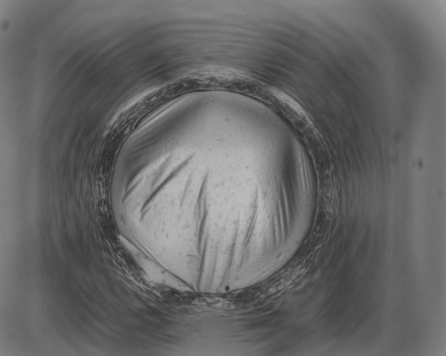 X0000085011112200703261147