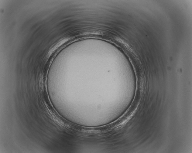 X0000085011113200703261147