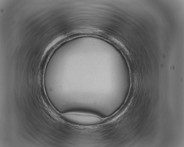 X0000085011114200703261147