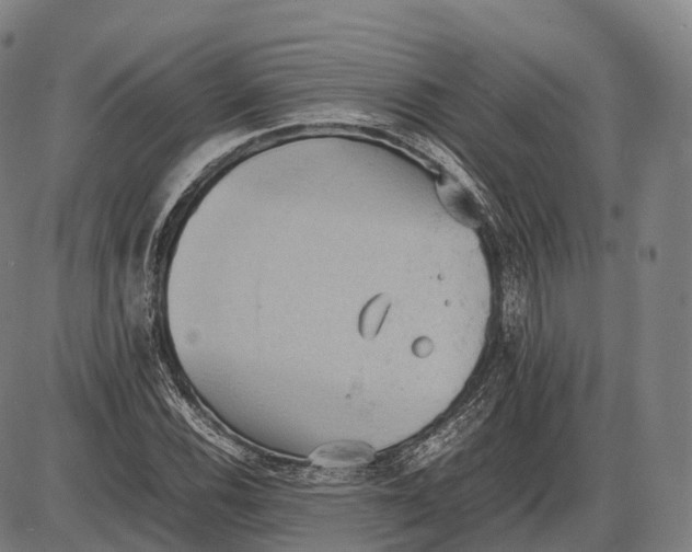 X0000085011116200703261147