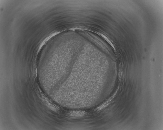 X0000085011117200703261147