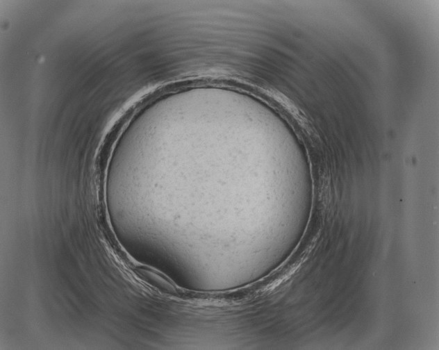 X0000085011118200703261147