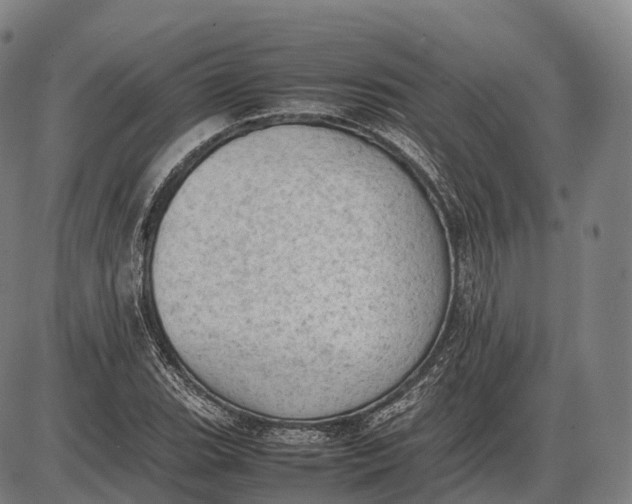 X0000085011119200703261148