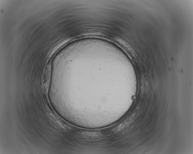 X0000085011121200703261148