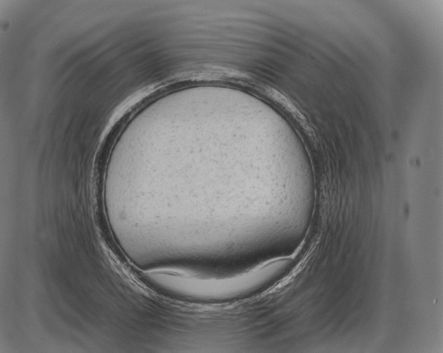 X0000085011122200703261148