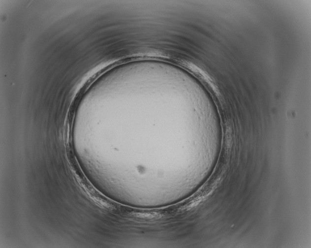 X0000085011125200703261148