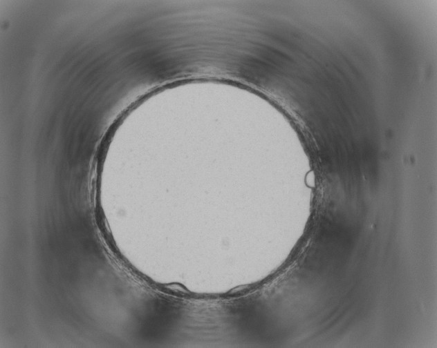 X0000085011126200703261148