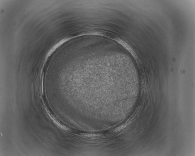 X0000085011127200703261148